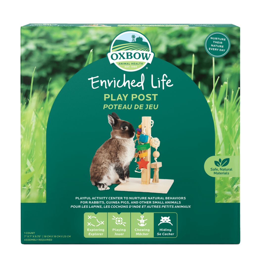 Oxbow Small Animal Play Post