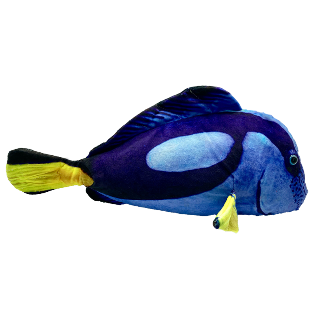 Huggable - Caitlin Tang Fish