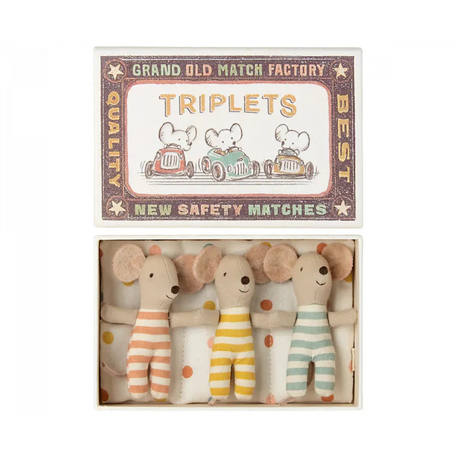 Baby Triplets in a Box